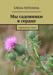 Елена Потехина - Мы садовники в сердце. Избранные стихи