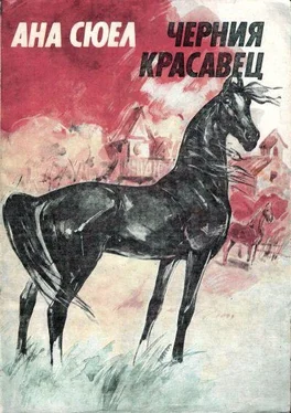 Ана Сюел Черния красавец обложка книги