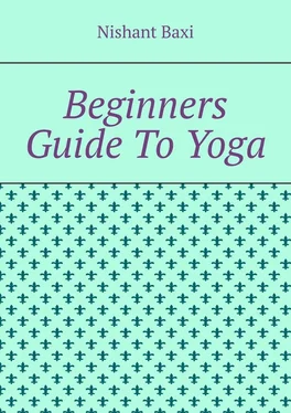 Nishant Baxi Beginners Guide To Yoga обложка книги