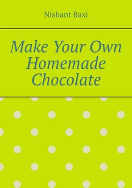 Nishant Baxi Make Your Own Homemade Chocolate обложка книги