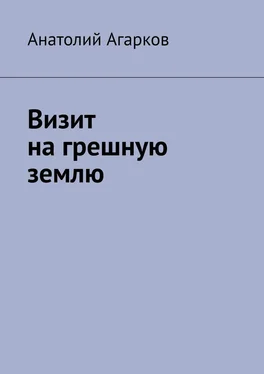 Анатолий Агарков Визит на грешную землю обложка книги