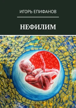 Игорь Епифанов Нефилим обложка книги