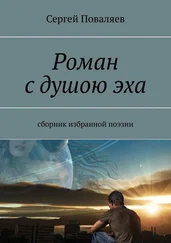 Сергей Поваляев - Роман с душою эха. Сборник избранной поэзии