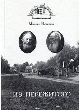 Михаил Новиков Из пережитого обложка книги