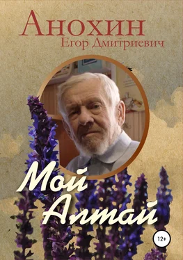 Егор Анохин Мой Алтай обложка книги