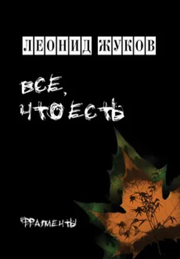 Леонид Жуков Все, что есть. Книга стихов обложка книги