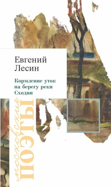 Евгений Лесин Кормление уток на берегу реки Сходни (сборник) обложка книги