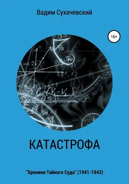 Вадим Долгий (Сухачевский) Катастрофа обложка книги