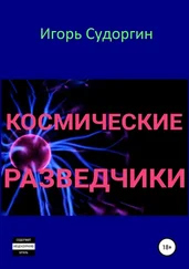 Игорь Судоргин - Космические разведчики