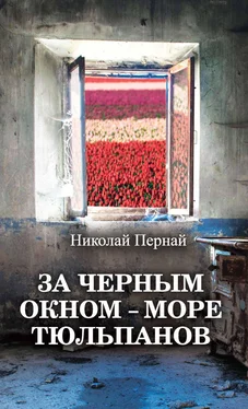 Николай Пернай За черным окном – море тюльпанов обложка книги