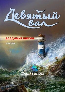 Владимир Шигин Девятый вал (сборник) обложка книги