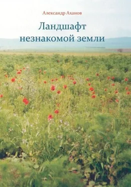 Александр Аханов Ландшафт незнакомой земли обложка книги