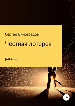 Сергей Виноградов Честная лотерея обложка книги