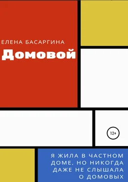 Елена Басаргина Домовой обложка книги