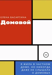 Елена Басаргина - Домовой