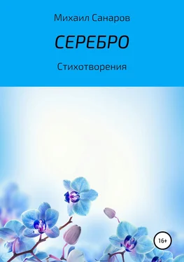 Михаил Санаров Серебро обложка книги