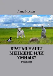 Лана Носаль - Братья наши меньшие или умные? Рассказы