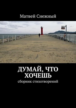 Матвей Снежный Думай, что хочешь. Сборник стихотворений