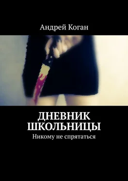 Андрей Коган Дневник школьницы. Никому не спрятаться обложка книги