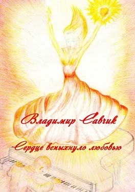 Владимир Савчик Сердце вспыхнуло любовью обложка книги