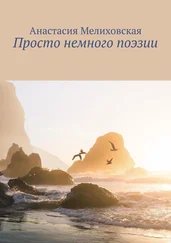 Анастасия Мелиховская - Просто немного поэзии