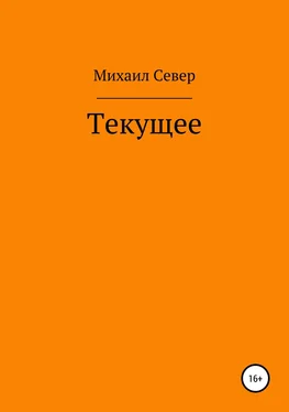 Михаил Север Текущее обложка книги