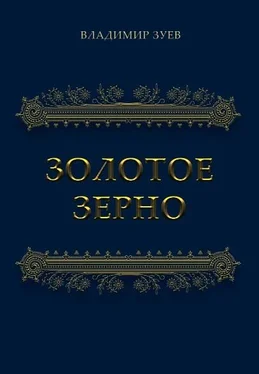 Владимир Зуев Золотое зерно обложка книги