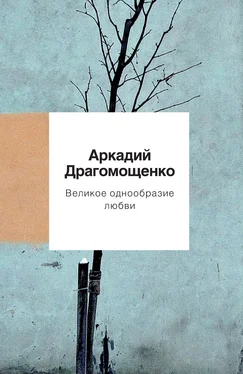 Аркадий Драгомощенко Великое однообразие любви обложка книги