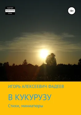 Игорь Фадеев В кукурузу обложка книги