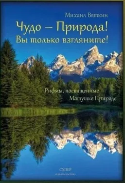Михаил Вяткин Чудо – Природа! обложка книги