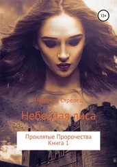 Надежда Стрелец - Проклятые пророчества. Книга 1. Небесная лиса