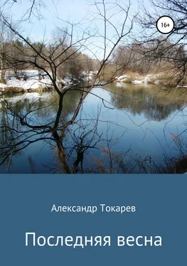 Александр Токарев Последняя весна обложка книги