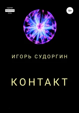 Игорь Судоргин Контакт обложка книги