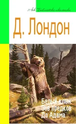 Джек Лондон - Белый Клык. Зов предков. До Адама (адаптированный пересказ)