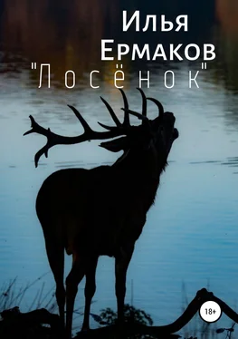 Илья Ермаков «Лосёнок» обложка книги