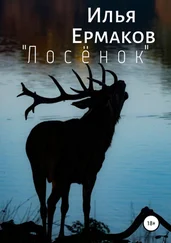 Илья Ермаков - «Лосёнок»