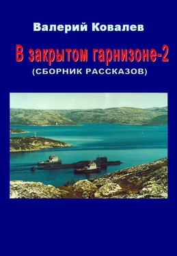 Валерий Ковалев В закрытом гарнизоне. Книга 2 обложка книги