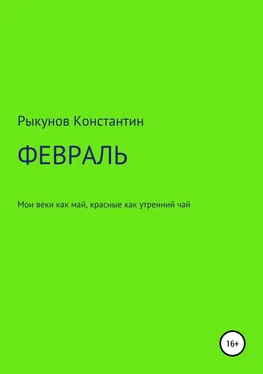 Константин Рыкунов ФЕВРАЛЬ обложка книги