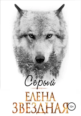 Елена Звездная Серый обложка книги