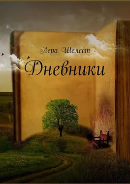 Лера Шелест Дневники обложка книги