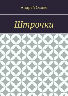 Андрей Семке Штрочки обложка книги