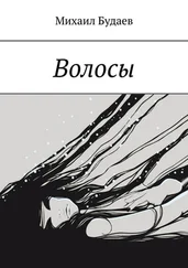 Михаил Будаев - Волосы