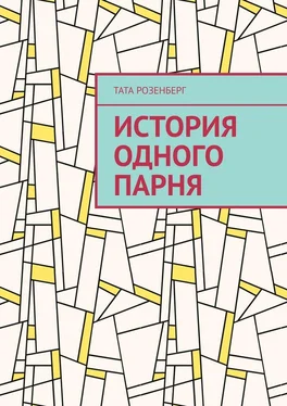 Тата Розенберг История одного парня обложка книги