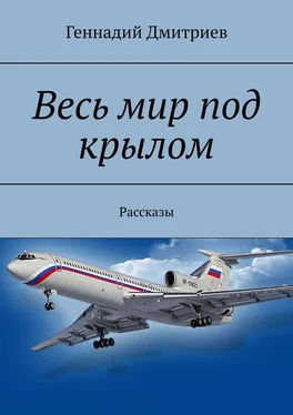 Геннадий Дмитриев Весь мир под крылом. Рассказы обложка книги