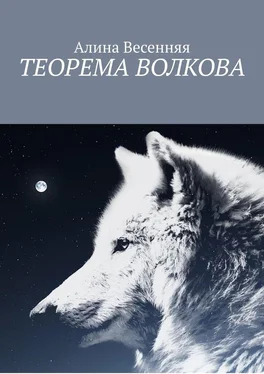 Алина Весенняя Теорема Волкова обложка книги