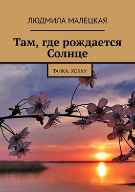 Людмила Малецкая Там, где рождается Солнце. Танка, хокку обложка книги