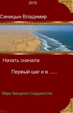 Владимир Синицын Первый шаг и в... обложка книги