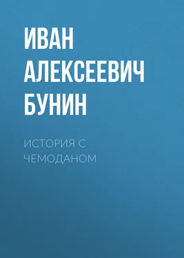 Иван Бунин История с чемоданом обложка книги