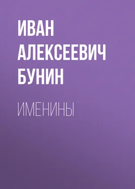 Иван Бунин Именины обложка книги