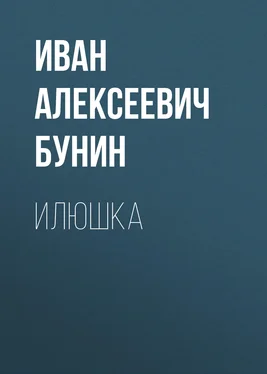 Иван Бунин Илюшка обложка книги